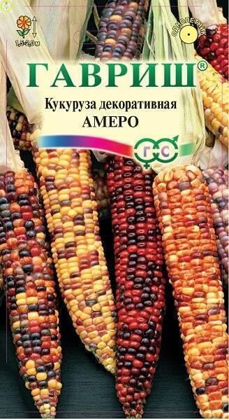 Купить оптом в Ботанике семена Кукуруза Декоративная Гав бренд Гавриш
