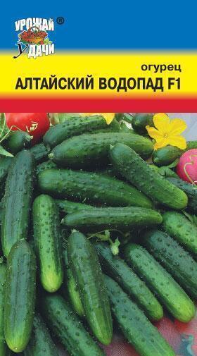 Купить оптом в Ботанике семена Огурец Алтайский водопад F1 УУ бренд Урожай Удачи