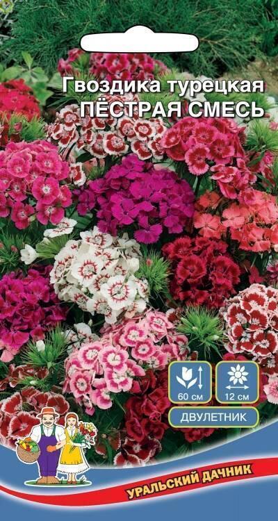 Купить оптом в Ботанике семена Гвоздика турецкая Пестрая смесь УД бренд Уральский дачник