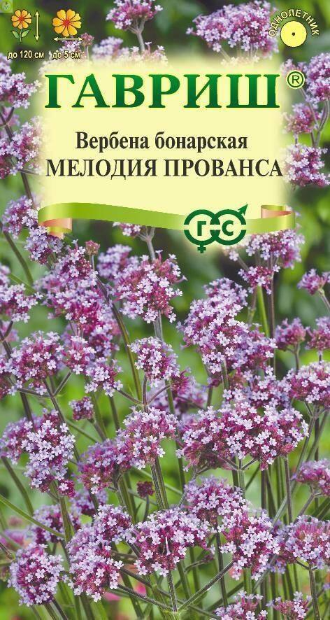 Купить оптом в Ботанике семена Вербена Мелодия Прованса Гав бренд Гавриш