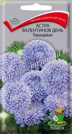 Купить оптом в Ботанике семена Астра Валентинов день Лавандовая Поиск бренд Поиск