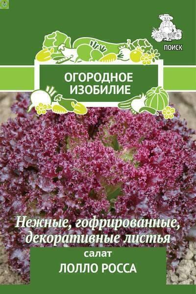Купить оптом в Ботанике семена Салат Лолло Росса Поиск бренд Поиск