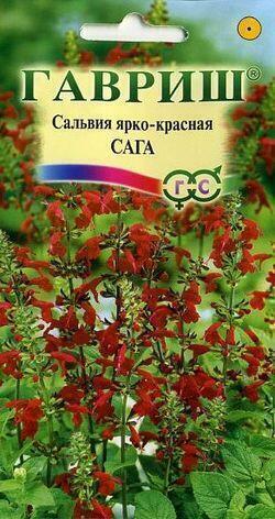 Купить оптом в Ботанике семена Сальвия Сага ярко-красная Гав бренд Гавриш