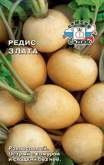 Купить оптом в Ботанике семена Редис Злата Сед бренд СеДеК