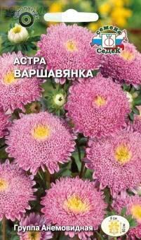 Купить оптом в Ботанике семена Астра Варшавянка Сед бренд СеДеК