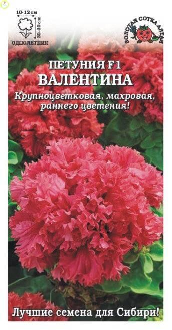 Купить оптом в Ботанике семена Петуния Валентина махр. F1 ЗС бренд Золотая сотка
