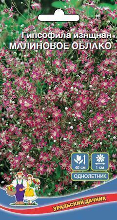 Купить оптом в Ботанике семена Гипсофила Малиновое облако УД бренд Уральский дачник