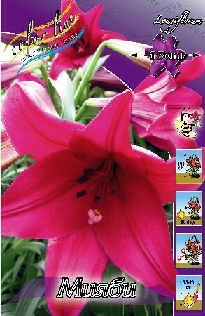 Купить оптом в Ботанике Лилия Мияби 5 шт