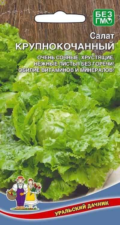 Купить оптом в Ботанике семена Салат Крупнокочанный УД бренд Уральский дачник