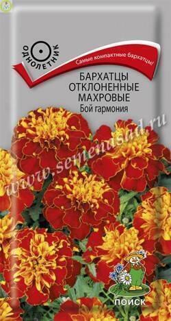 Купить оптом в Ботанике семена Бархатцы Бой гармония отклоненные Поиск бренд Поиск