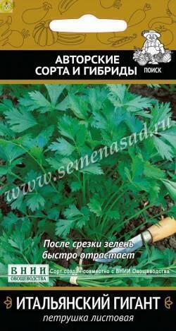 Купить оптом в Ботанике семена Петрушка Итальянский гигант Поиск бренд Поиск