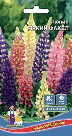 Купить оптом в Ботанике семена Люпин Яркий факел УД бренд Уральский дачник