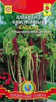 Купить оптом в Ботанике семена Амарант Каскад смесь Плз бренд Плазмас