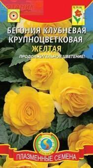 Купить оптом в Ботанике семена Бегония Крупноцветковая желтая Плз бренд Плазмас