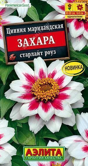 Купить оптом в Ботанике семена Цинния Захара старлайт роуз Аэл бренд Аэлита