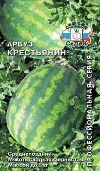 Купить оптом в Ботанике семена Арбуз Крестьянин Сед бренд СеДеК