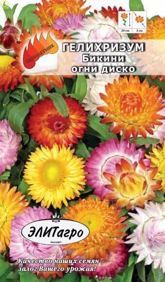 Купить оптом в Ботанике семена Гелихризум Огни диско Аэл бренд Аэлита