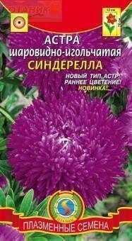 Купить оптом в Ботанике семена Астра Синдерелла Плз бренд Плазмас