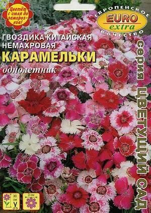 Купить оптом в Ботанике семена Гвоздика китайская Карамельки БП Аэл бренд Аэлита