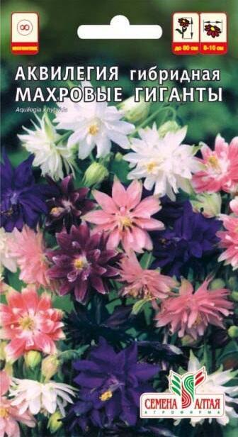 Купить оптом в Ботанике семена Аквилегия Махровые гиганты СА бренд Семена Алтая
