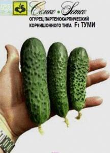 Купить оптом в Ботанике семена Огурец Туми F1 Сем бренд Семко