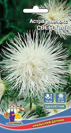 Купить оптом в Ботанике семена Астра Снегопад унилюкс УД бренд Уральский дачник