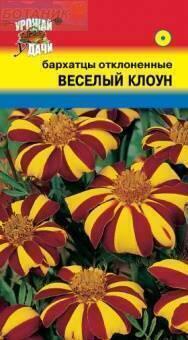 Купить оптом в Ботанике семена Бархатцы Веселый клоун отклоненный УУ бренд Урожай Удачи