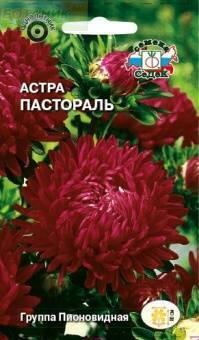 Купить оптом в Ботанике семена Астра Пастораль Сед бренд СеДеК