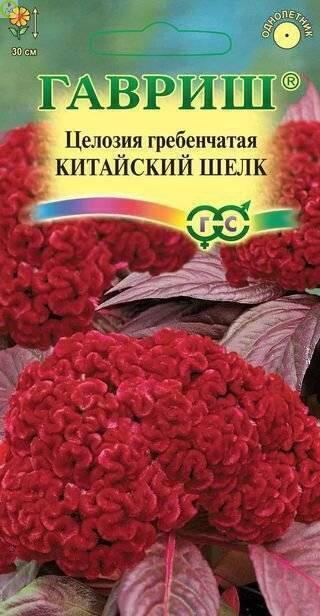 Купить оптом в Ботанике семена Целозия Китайский шелк гребенчатая Гав бренд Гавриш