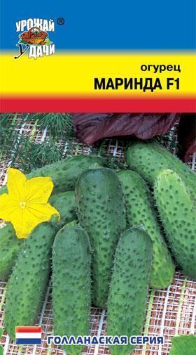 Купить оптом в Ботанике семена Огурец Маринда  F1 УУ бренд Урожай Удачи