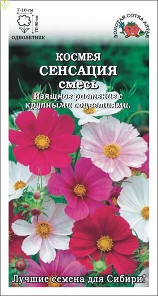 Купить оптом в Ботанике семена Космея Сенсация смесь ЗС бренд Золотая сотка