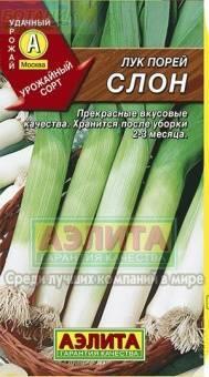 Купить оптом в Ботанике семена Лук порей Слон Аэл бренд Аэлита