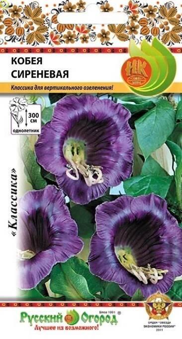 Купить оптом в Ботанике семена Кобея Сиреневая НК бренд НК