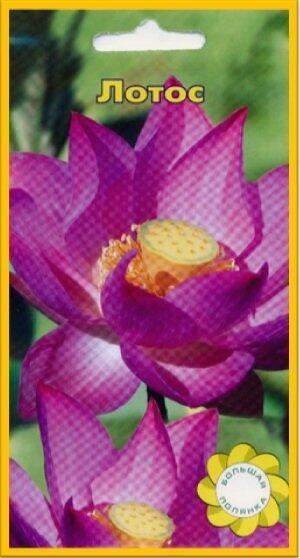 Купить оптом в Ботанике семена Лотос Многолетний УУ бренд Урожай Удачи