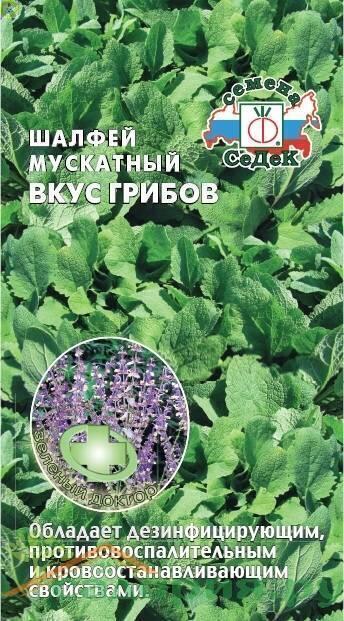 Купить оптом в Ботанике семена Шалфей Вкус грибов мускатный Сед бренд СеДеК