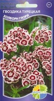 Купить оптом в Ботанике семена Гвоздика турецкая Холборн Глори Акв бренд Акварель