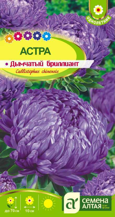Купить оптом в Ботанике семена Астра Дымчатый бриллиант СА бренд Семена Алтая