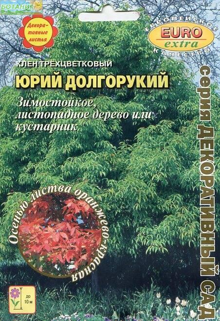 Купить оптом в Ботанике семена Клен Юрий Долгорукий Аэл бренд Аэлита