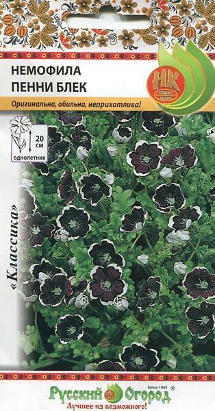Купить оптом в Ботанике семена Немофила Пенни блек НК бренд НК