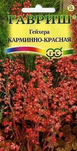 Купить оптом в Ботанике семена Гейхера(хеухера) Карминно-красная Гав бренд Гавриш