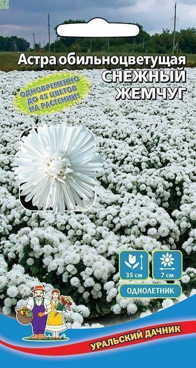 Купить оптом в Ботанике семена Астра Снежный Жемчуг УД бренд Уральский дачник