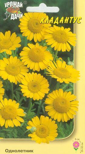 Купить оптом в Ботанике семена Кладантус Золотое ожерелье УУ бренд Урожай Удачи