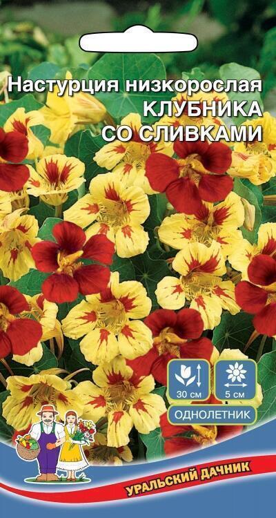 Купить оптом в Ботанике семена Настурция Клубника со сливками УД бренд Уральский дачник