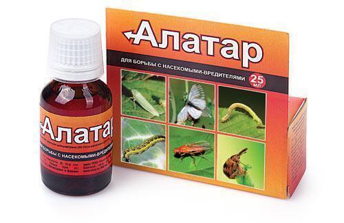 Купить оптом в Ботанике Алатар 25 мл (30)