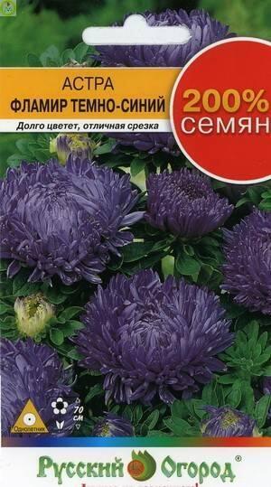Купить оптом в Ботанике семена Астра Фламир темно-синий НК бренд НК