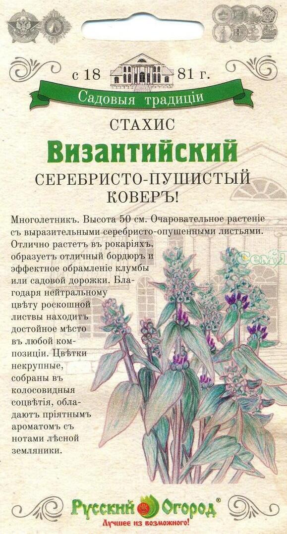Купить оптом в Ботанике семена Стахис Византийский НК бренд НК