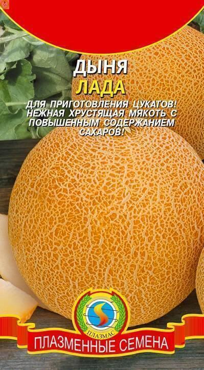 Купить оптом в Ботанике семена Дыня Лада Плз бренд Плазмас