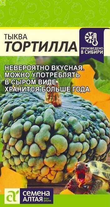 Купить оптом в Ботанике семена Тыква Тортилла СА бренд Семена Алтая