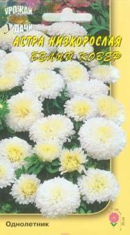 Купить оптом в Ботанике семена Астра Белый ковер УУ бренд Урожай Удачи