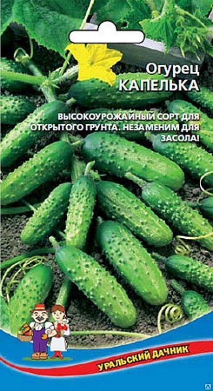 Купить оптом в Ботанике семена Огурец Капелька F1 УД бренд Уральский дачник